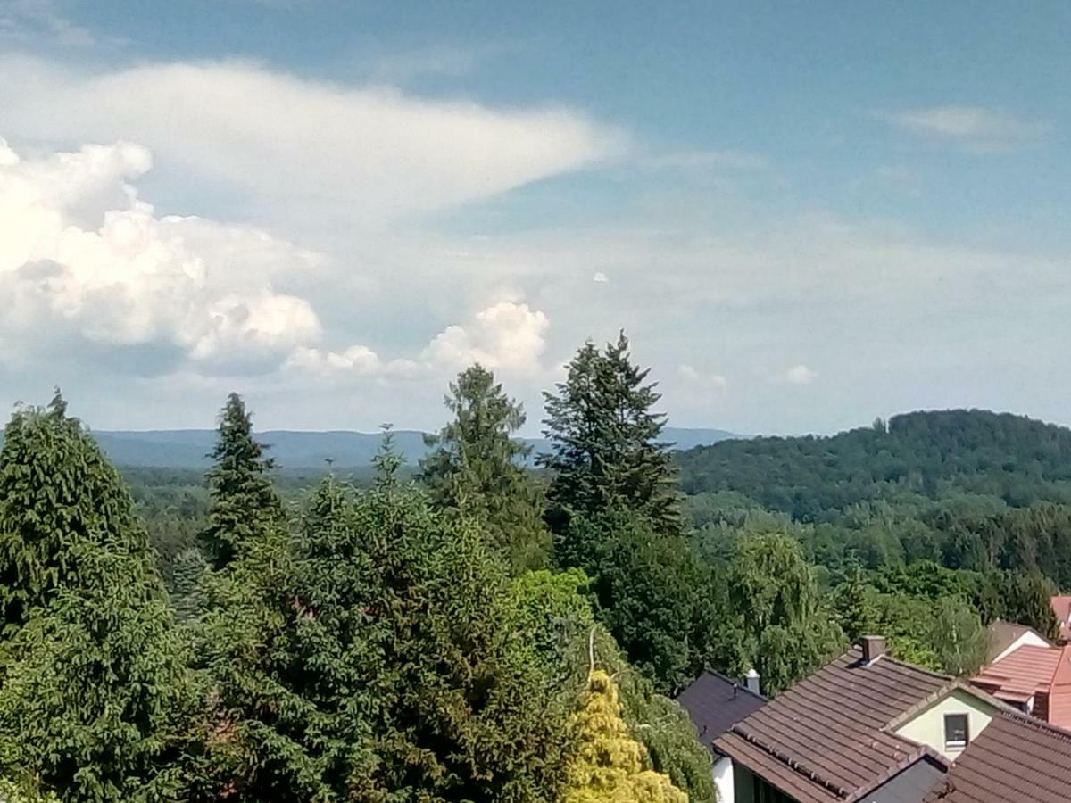 Jagdschloesschen-Harz Bad Sachsa Exterior foto