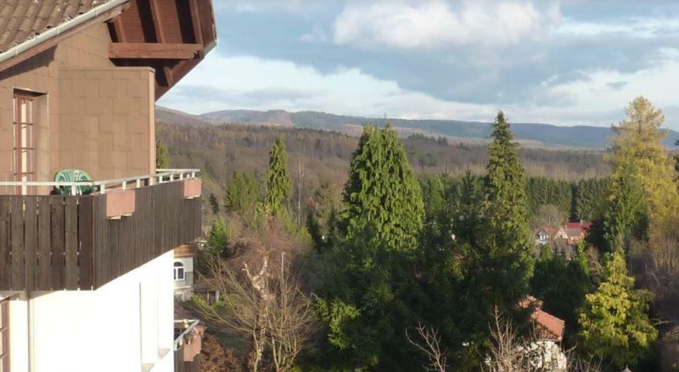 Jagdschloesschen-Harz Bad Sachsa Exterior foto